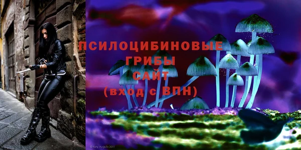 прущая мука Белоозёрский