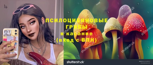 молекула духа Медвежьегорск
