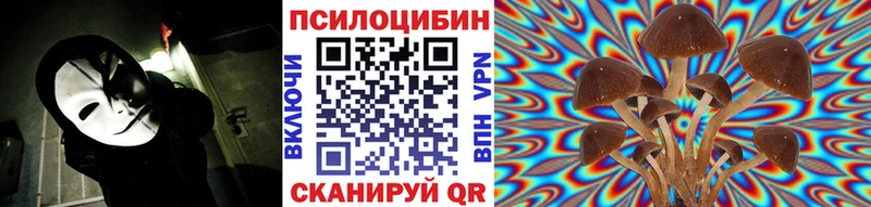 Галлюциногенные грибы Psilocybe  цена   Бологое 