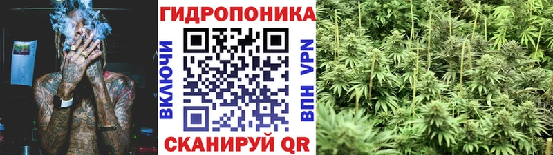 Бошки марихуана марихуана  Бологое 